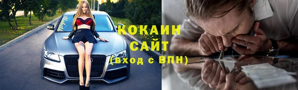 амф Богданович