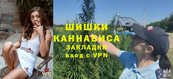 амф Богданович