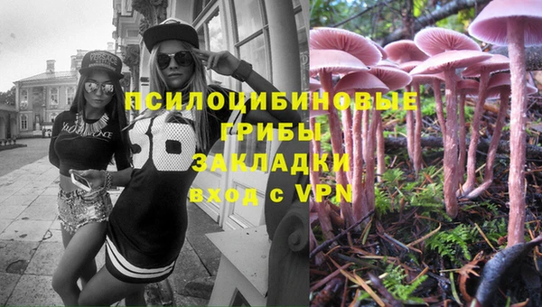 амф Богданович