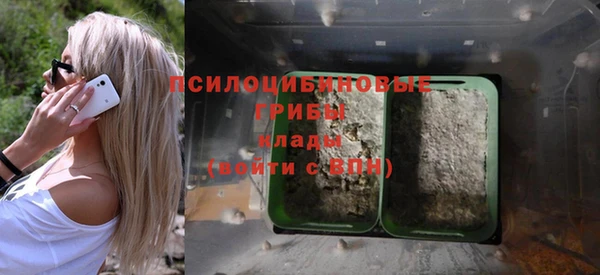 амф Богданович